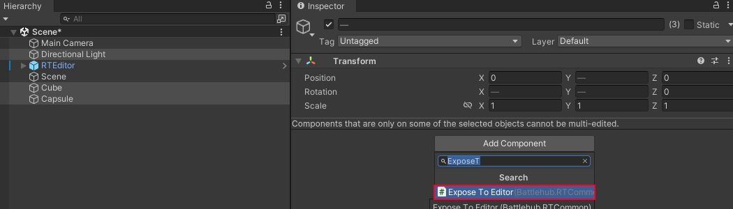 Add Expose To Editor